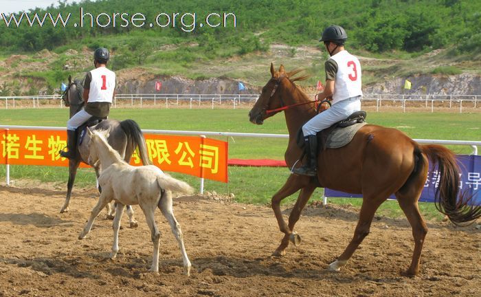 2010年海诺杯马术邀请赛