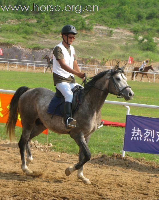 2010年海诺杯马术邀请赛