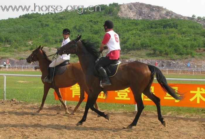 2010年海诺杯马术邀请赛