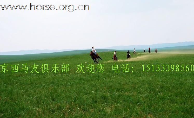 北京草原骑马买马最便宜的地方