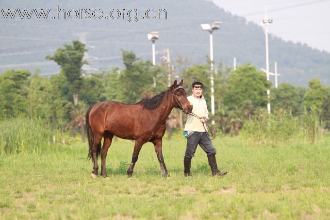 罗兰骑士部落 快乐野骑