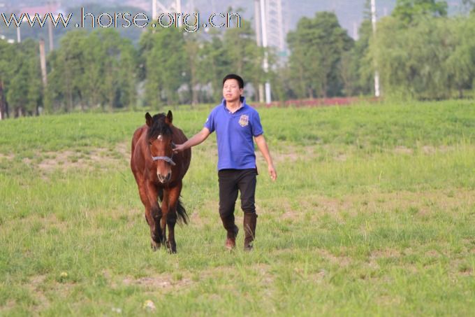 罗兰骑士部落 快乐野骑