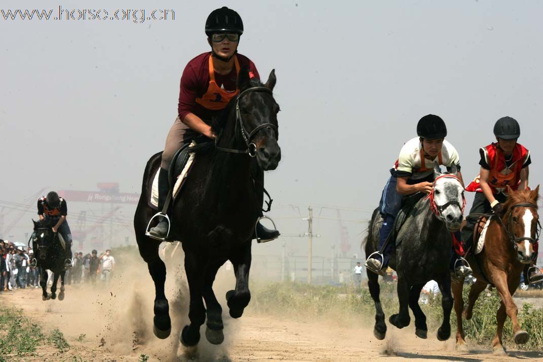 罗兰骑士部落 快乐野骑