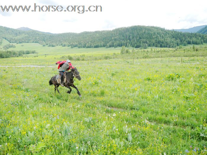 美丽与爱同行----2010重庆爱马仕骑行新彊（35楼更新）