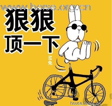 俱乐部营业马对外出售！！！