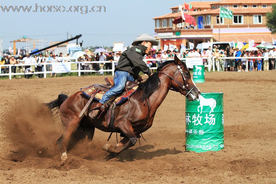 2010马术绕桶赛