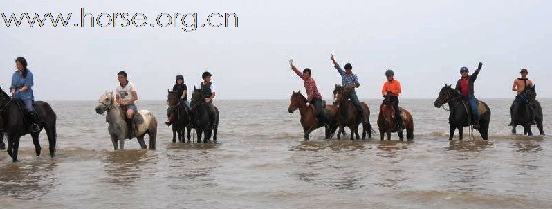 活动预告：2010-08-17 启东黄金海滩骑马AND泳骑