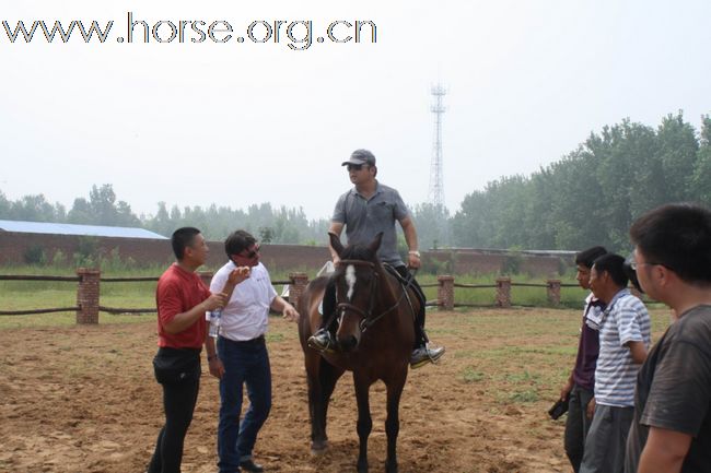 匈牙利vicdor老师中国首次马术集训班结业汇报