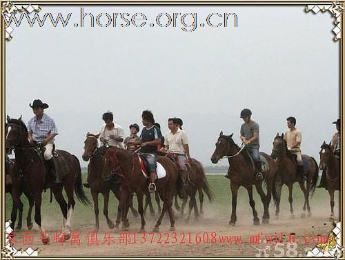 周末京西草原千里马俱乐部骑马，露营，吃烤全羊