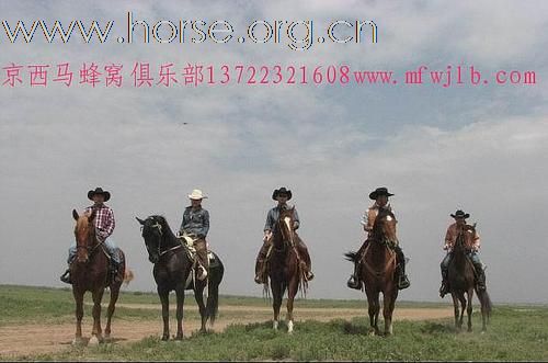 周末京西草原千里马俱乐部骑马，露营，吃烤全羊
