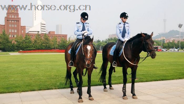 【组图】实拍大连骑警，警用运马车现身