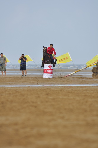 “中铁.青岛中心”杯2010年青岛全国沙滩马术绕桶及耐力赛圆满结束