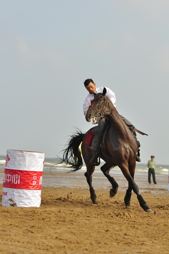 “中铁.青岛中心”杯2010年青岛全国沙滩马术绕桶及耐力赛圆满结束