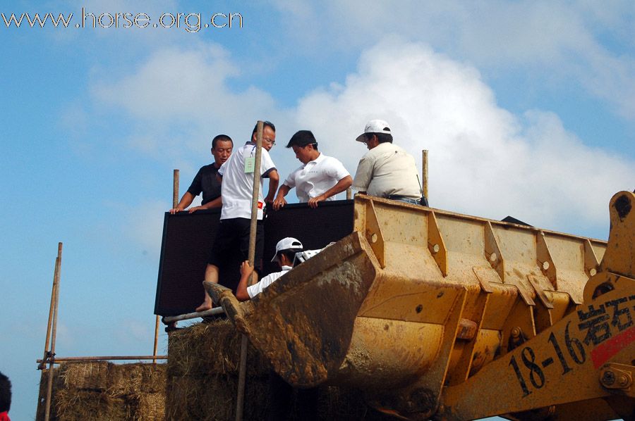 2010青岛全国沙滩马术点燃激情夏日