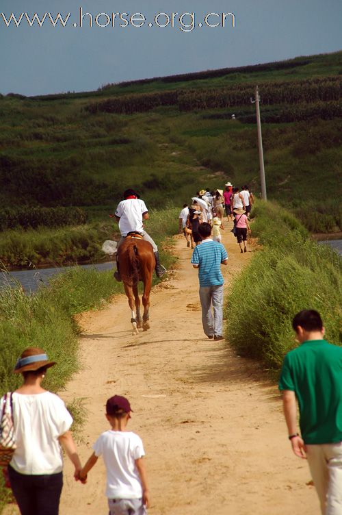 2010青岛全国沙滩马术点燃激情夏日