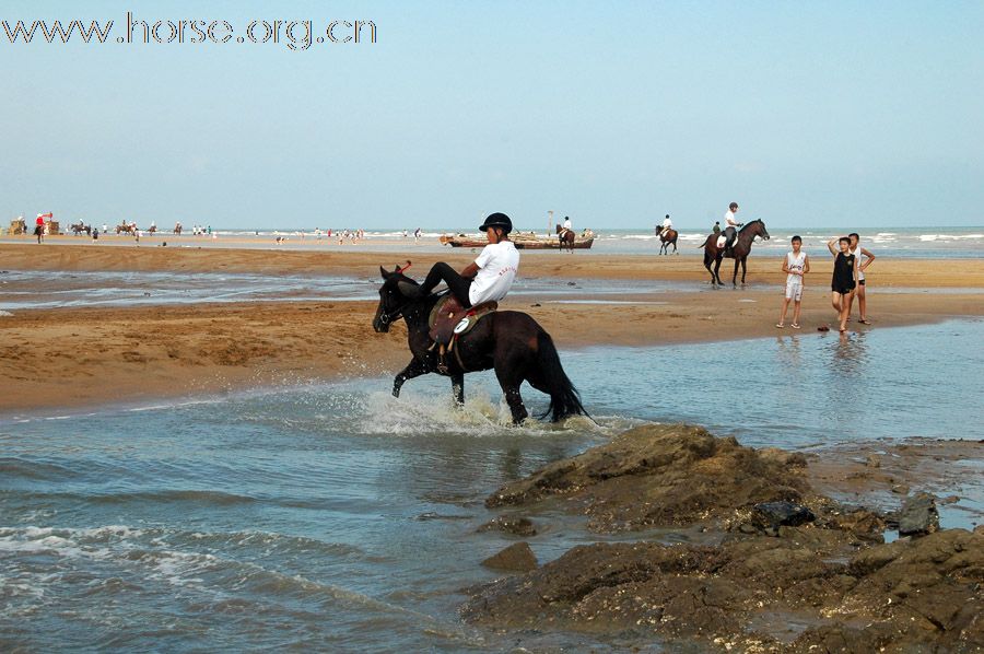 2010青岛全国沙滩马术点燃激情夏日