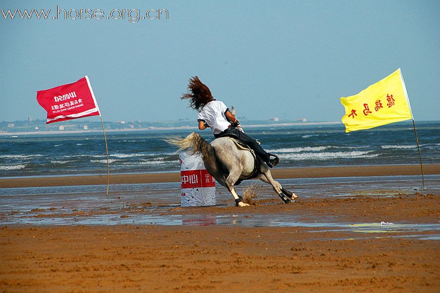 2010青岛全国沙滩马术点燃激情夏日