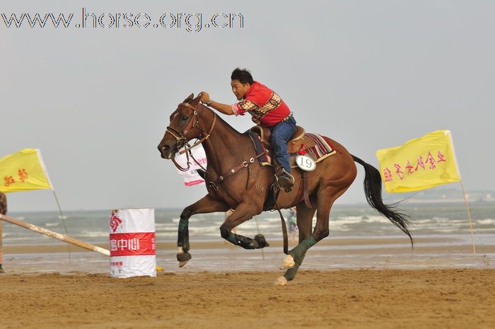 “中铁.青岛中心”杯2010年青岛全国沙滩马术绕桶及耐力赛圆满结束