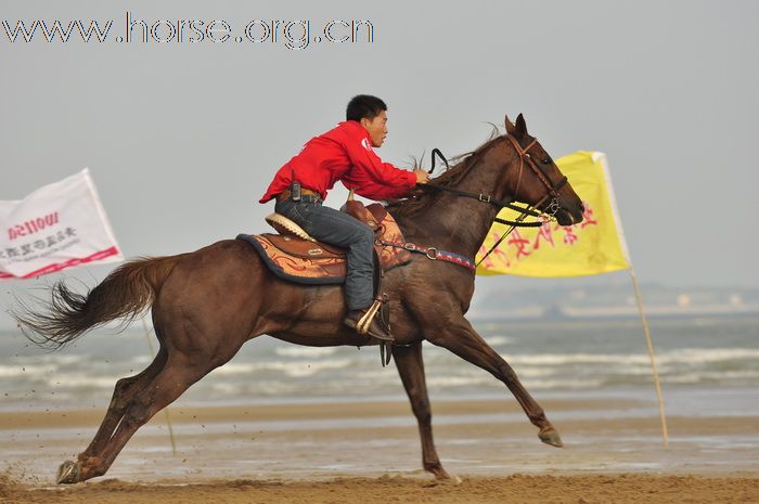 “中铁.青岛中心”杯2010年青岛全国沙滩马术绕桶及耐力赛圆满结束