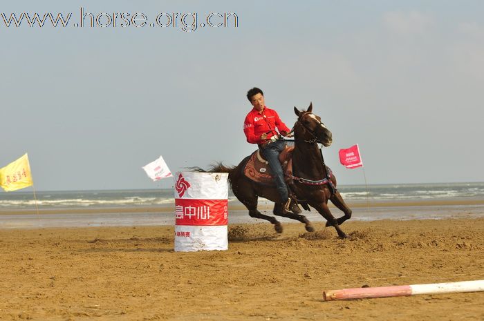 “中铁.青岛中心”杯2010年青岛全国沙滩马术绕桶及耐力赛圆满结束