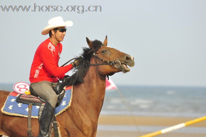 “中铁.青岛中心”杯2010年青岛全国沙滩马术绕桶及耐力赛圆满结束