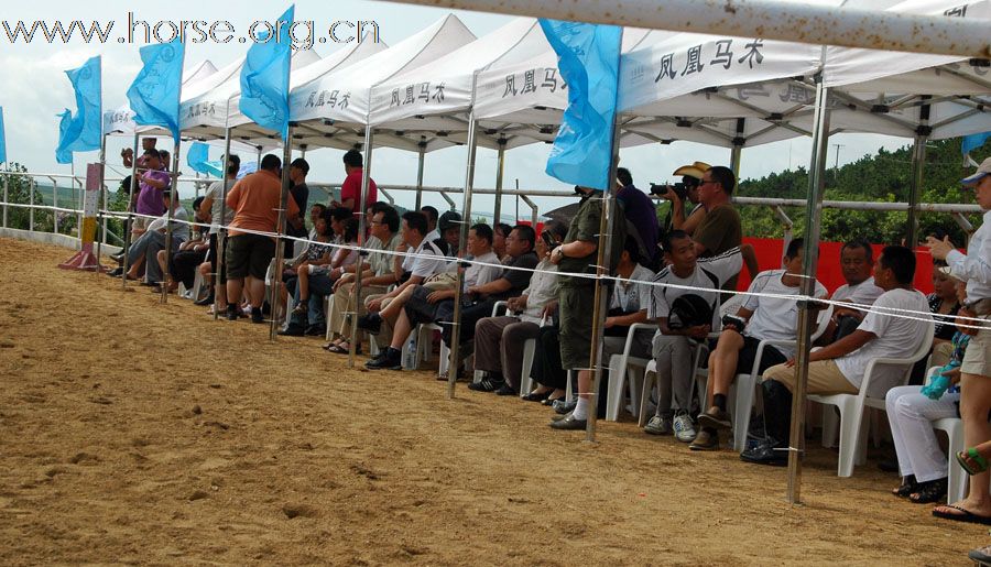 2010青岛全国沙滩马术点燃激情夏日