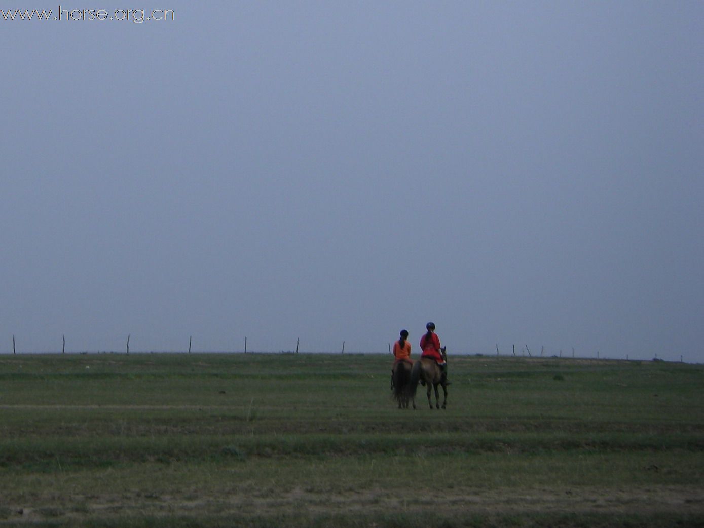 阿姨老人家。野骑