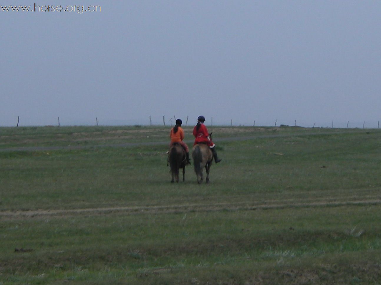 阿姨老人家。野骑