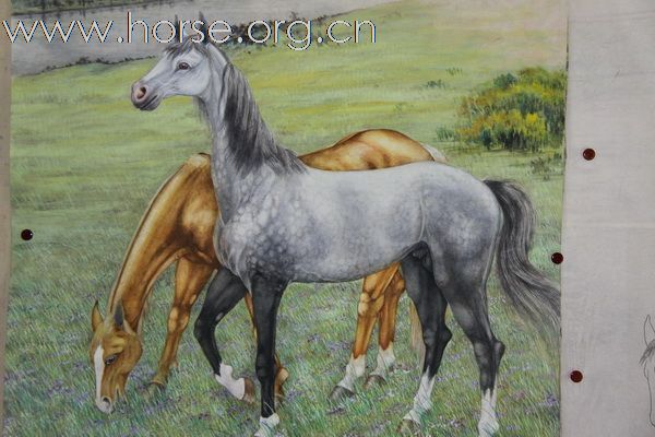 国画马 大师作品