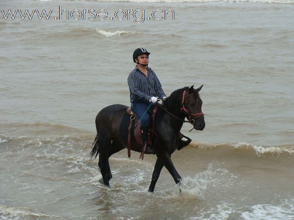 周末 开沙岛+黄金海滩 骑马活动PP