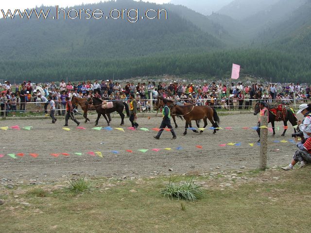 参观天祝藏族自治县赛马会