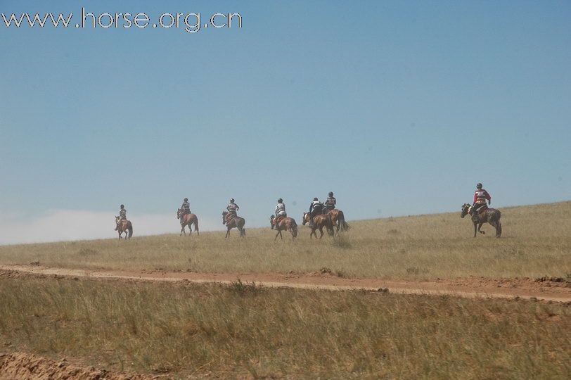 2010锡林郭勒国际马术耐力赛—激烈的赛道