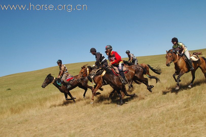 2010锡林郭勒国际马术耐力赛—激烈的赛道