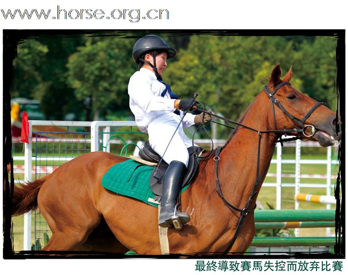 晓光手记:活力广州“广汽杯”2010全国现代五项冠军赛总决赛  暨亚运现代五项场地测试赛（一）女