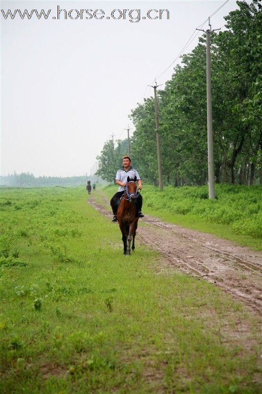 上海安达马场野骑路线