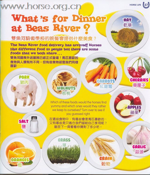 送出書籍“GALLOPER TEENS”及“GALLOPER KIDS”