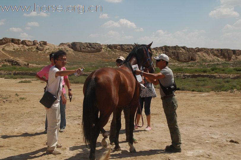 古代要塞废墟，藏兵洞：银川耐力赛报到验马