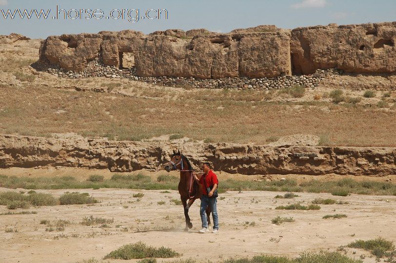 古代要塞废墟，藏兵洞：银川耐力赛报到验马