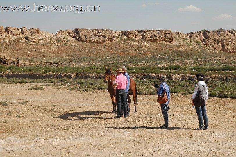 古代要塞废墟，藏兵洞：银川耐力赛报到验马