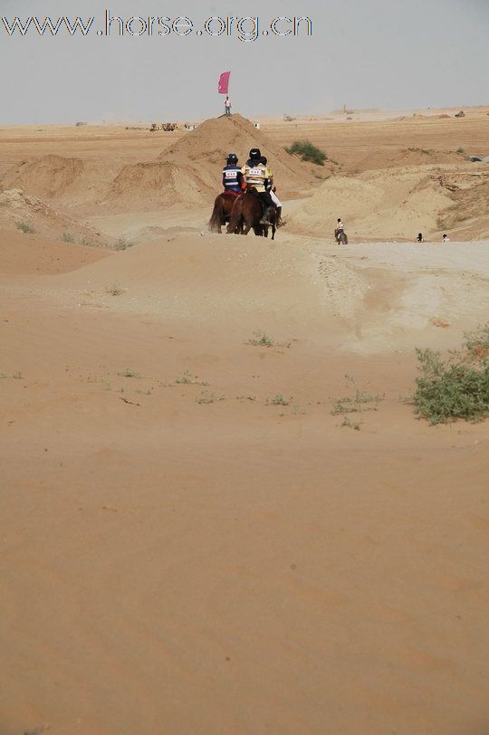 极限挑战，冲出沙漠：银川耐力赛第四赛段