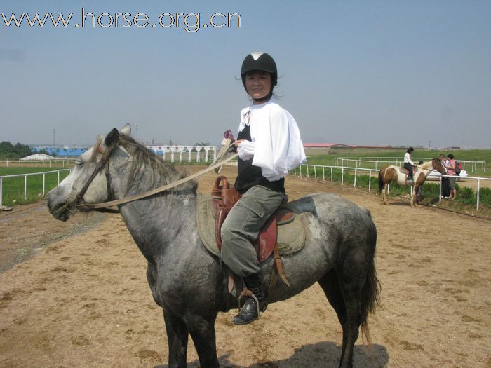 野骑回来了...