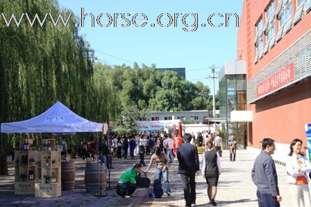 马篮球精英邀请赛全程实录