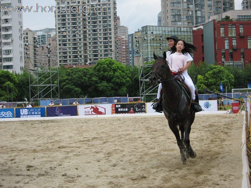 直击HORFA2010中国国际马博会