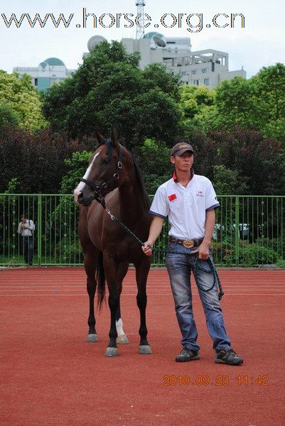 直击HORFA2010中国国际马博会