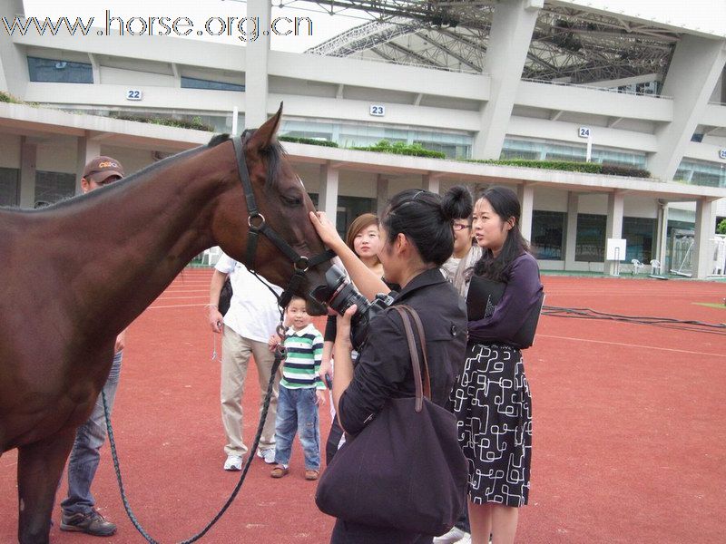 直击HORFA2010中国国际马博会