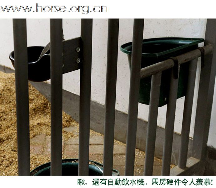 晓光手记：2010成都现代五项世界锦标赛(一)天麓马队厉兵秣马