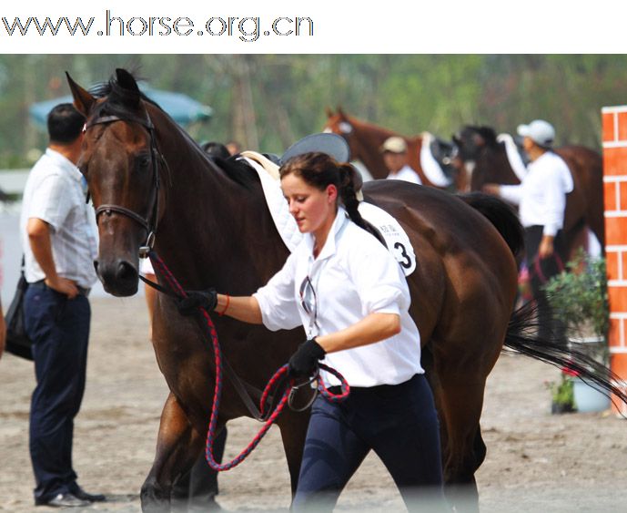晓光手记：2010成都现代五项世界锦标赛（二）群雄逐鹿