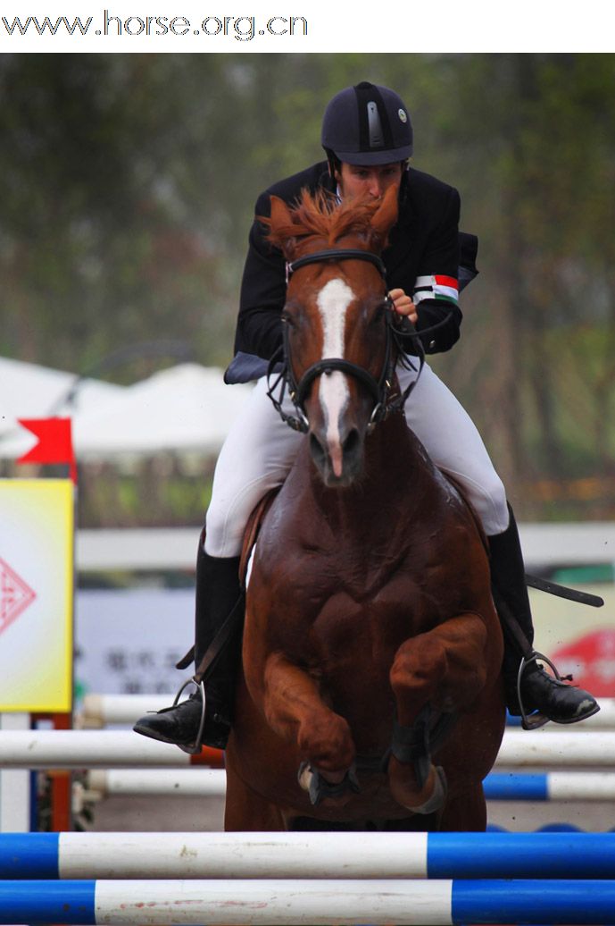晓光手记：2010成都现代五项世界锦标赛（二）群雄逐鹿