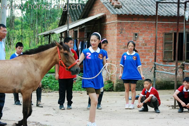 [推荐]放下高贵的面纱，让我们都来热爱POLO-----2010南宁乘风寨少年马球英语夏令营随记1