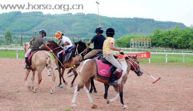 [推荐]放下高贵的面纱，让我们都来热爱POLO-----2010南宁乘风寨少年马球英语夏令营随记1